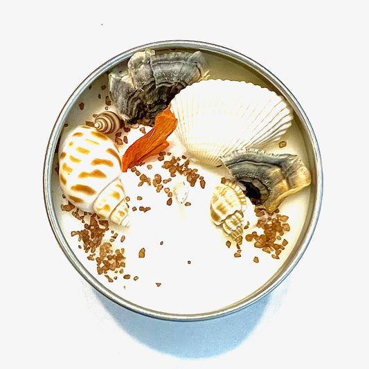 "Coral Reef" Artisanal Soy Candle: 4 oz.