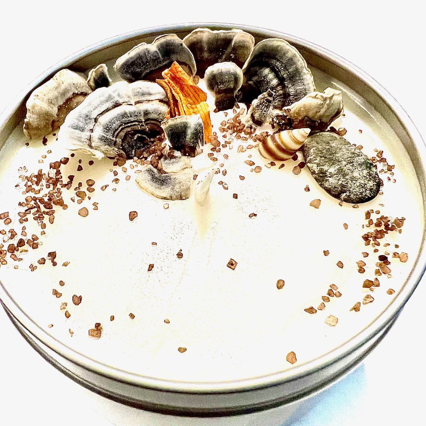 "Coral Reef" Artisanal Soy Candle: 4 oz.
