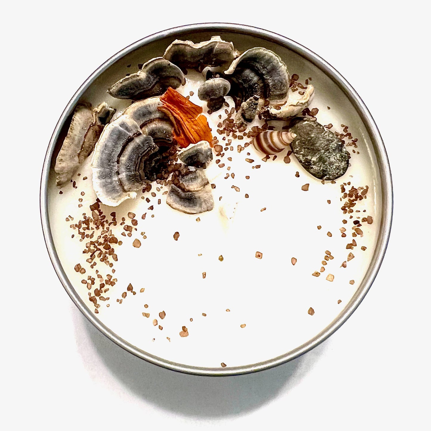 "Coral Reef" Artisanal Soy Candle: 4 oz.